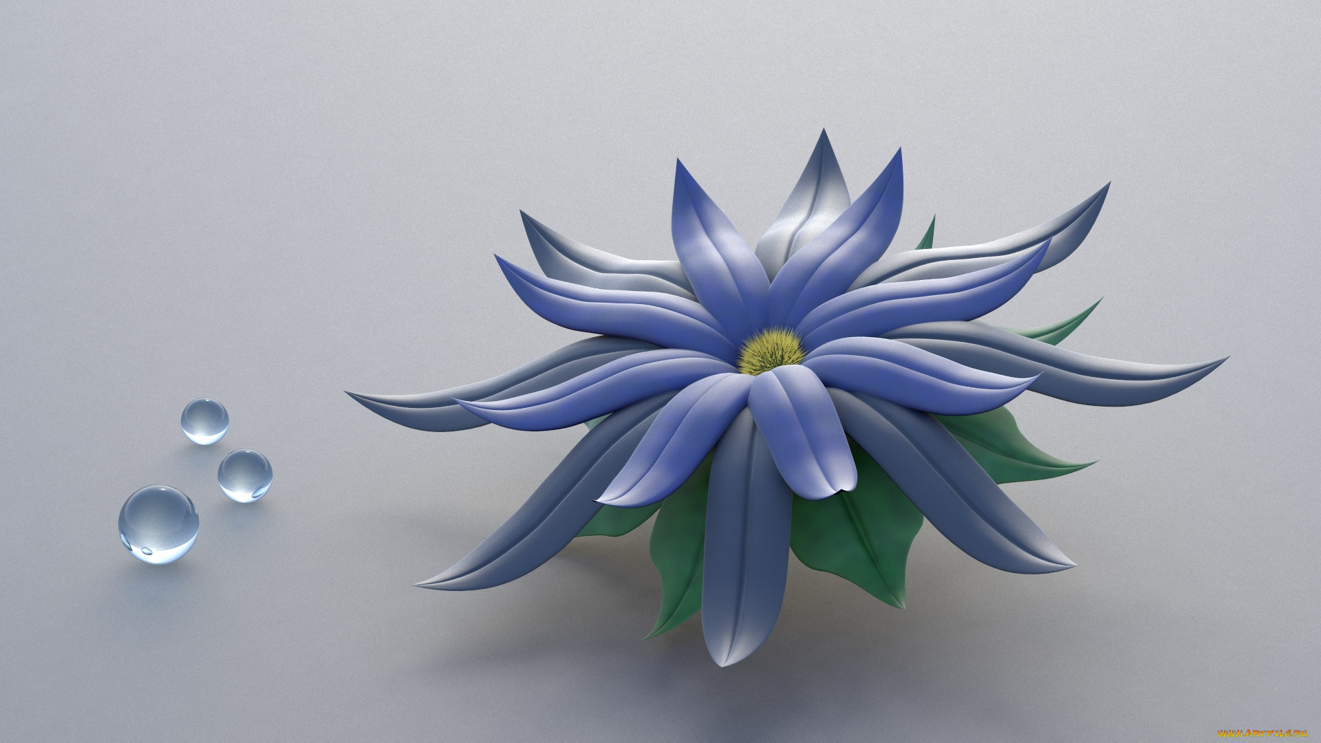 3 ,  , flowers, , , 